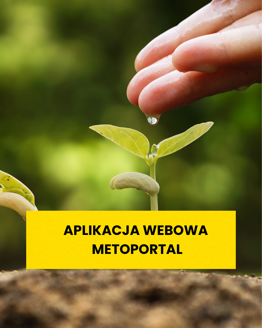 Meteoportal aplikacja webowa w rolnictwie